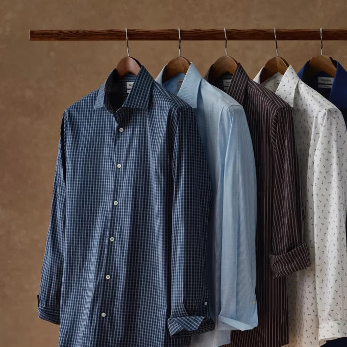 Bonobos