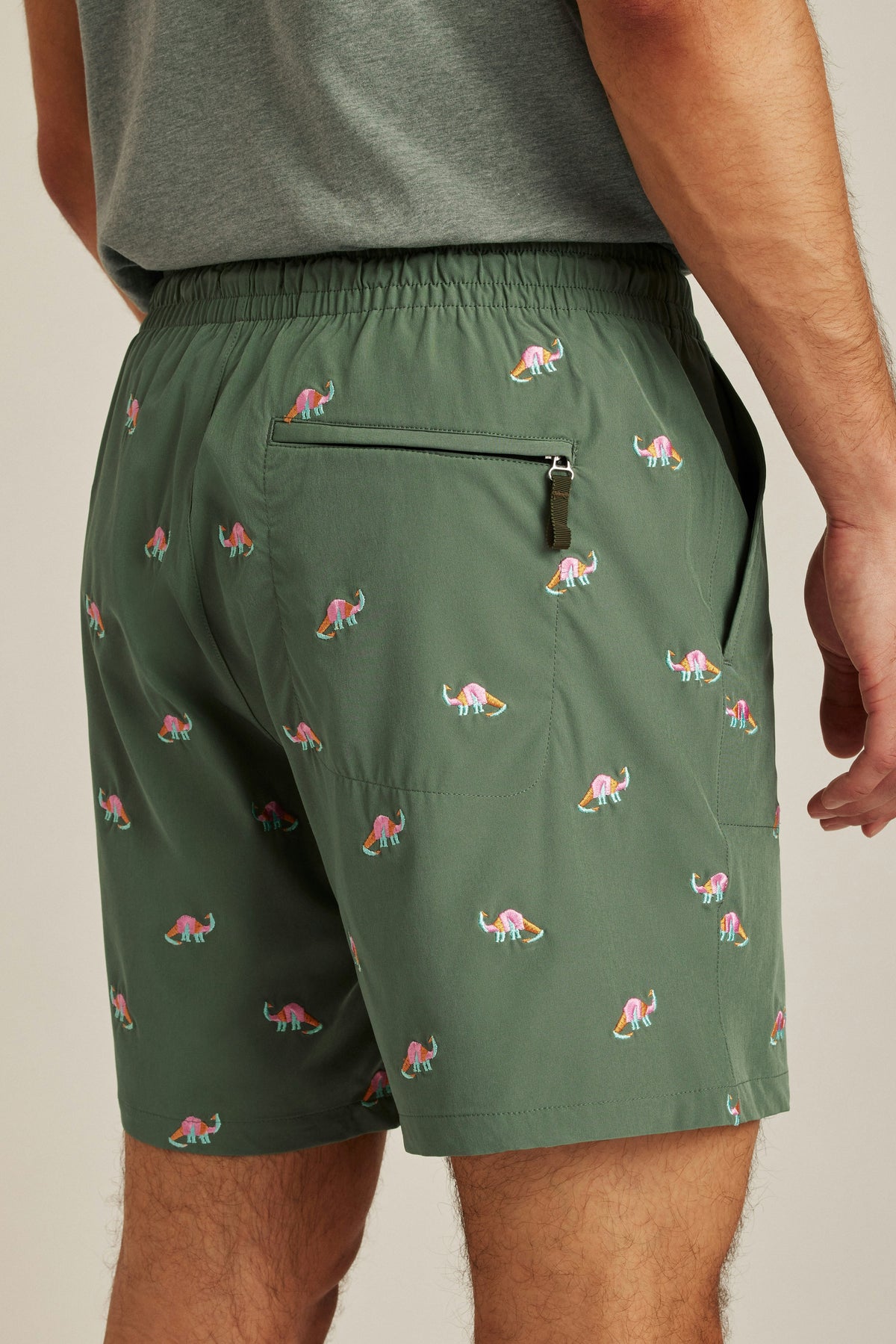 The Rec Short
