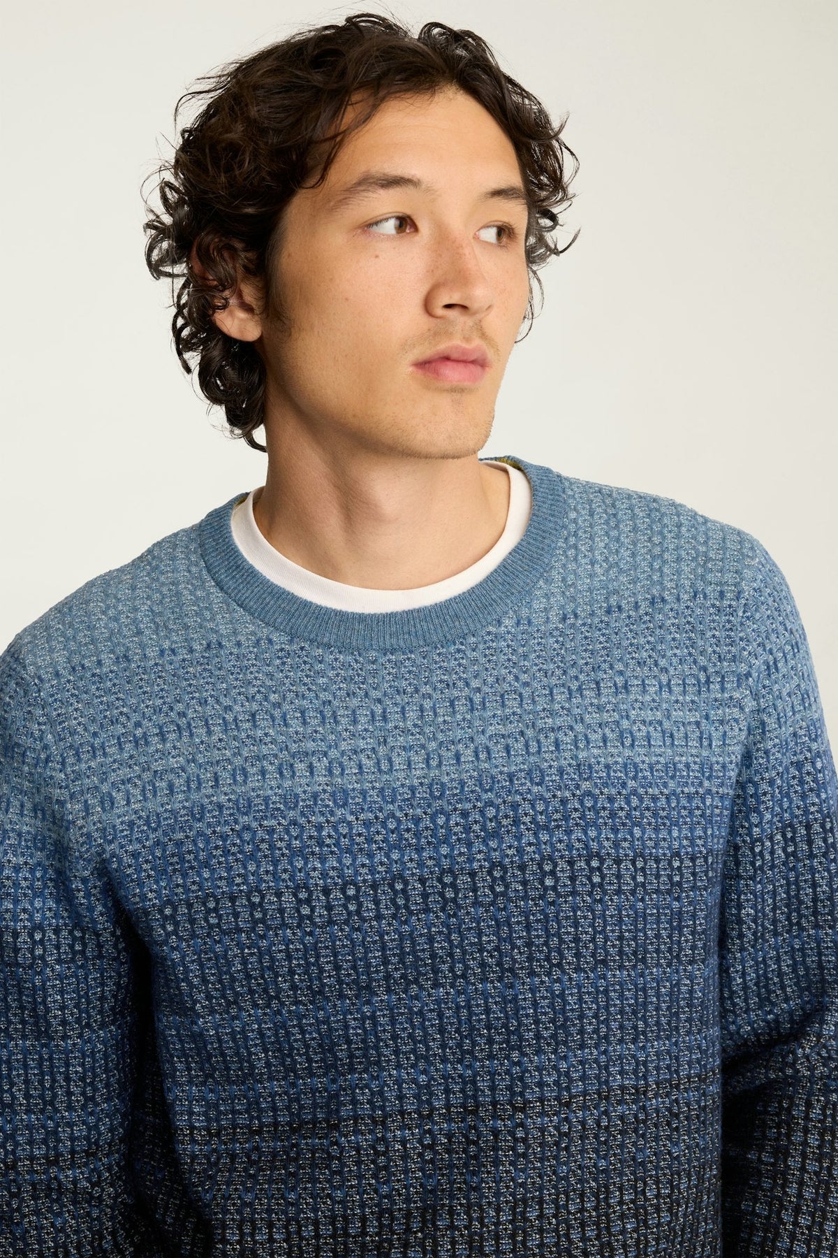Ombre Crew Neck Sweater
