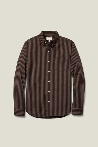 Everyday Oxford Shirt