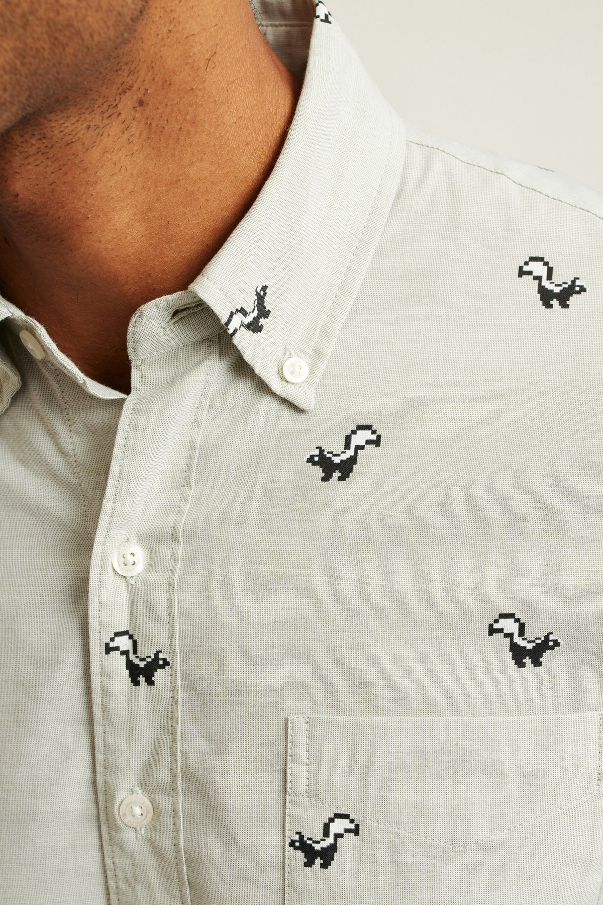 Everyday Shirt